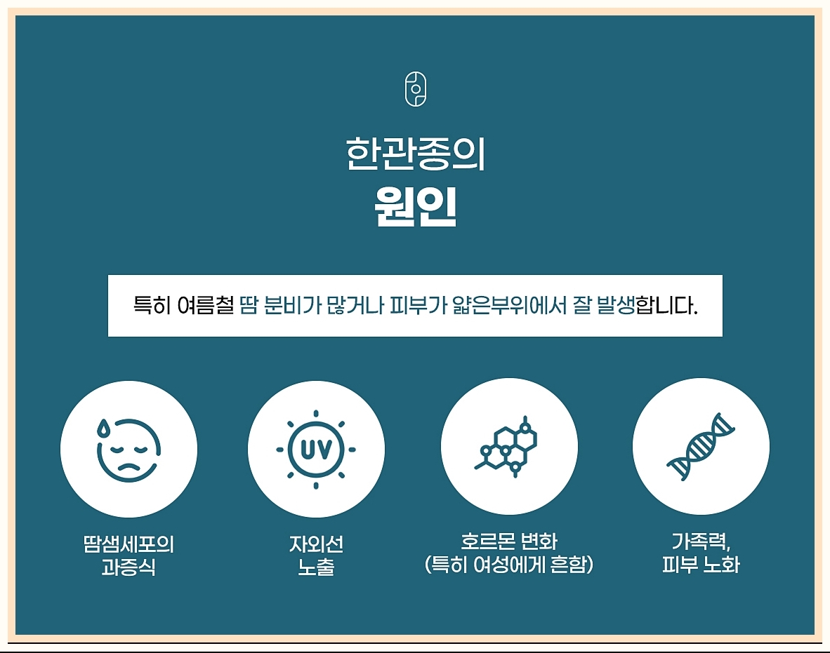 한관종의 원인 간단한 정리 아이콘 이미지