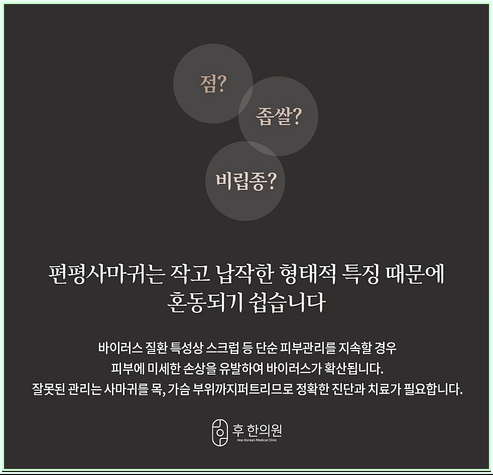 편평사마귀와 혼동되기 쉬운 다양한 질환