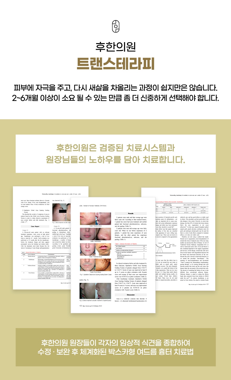 트랜스테라피 관련 임상 논문과 검증된 치료시스템 소개