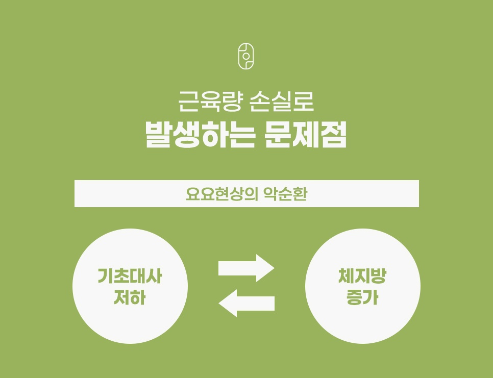 기초대사 저하와 체지방 증가가 서로를 부르는 요요현상 악순환