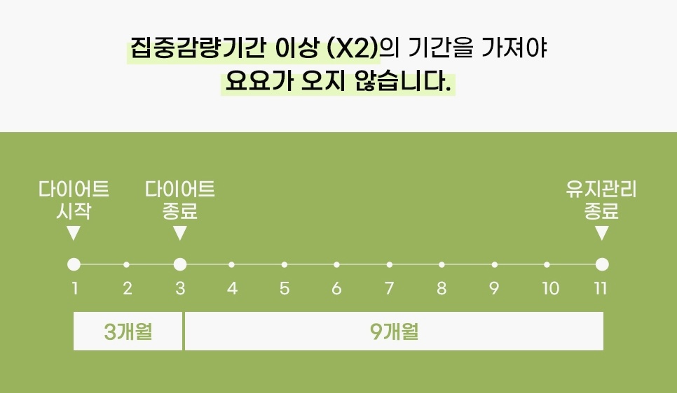 3개월 감량 뒤 9개월 유지관리로 이어지는 집중감량기간 2배 타임라인